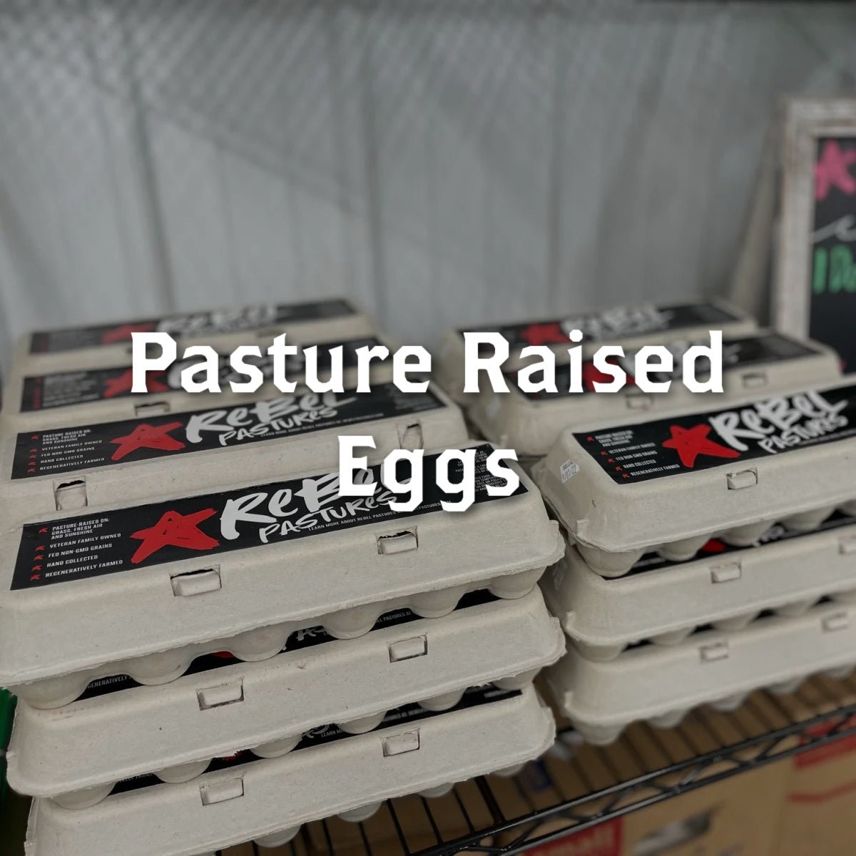 Pasture Raised Eggs - Rebel Pastures