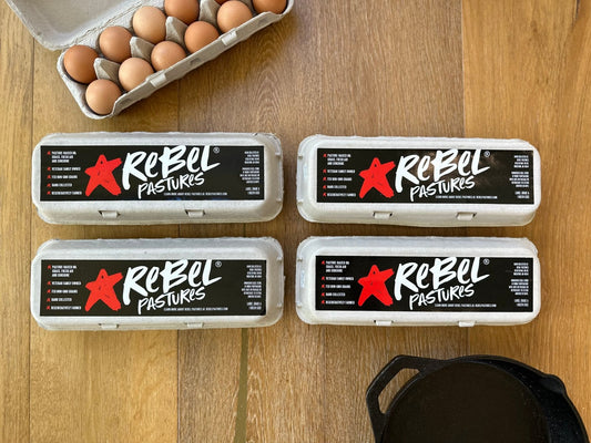 4 doz Fresh Eggs - Shipping Included (**SHIPPING ORDERS ONLY** ) - Rebel Pastures