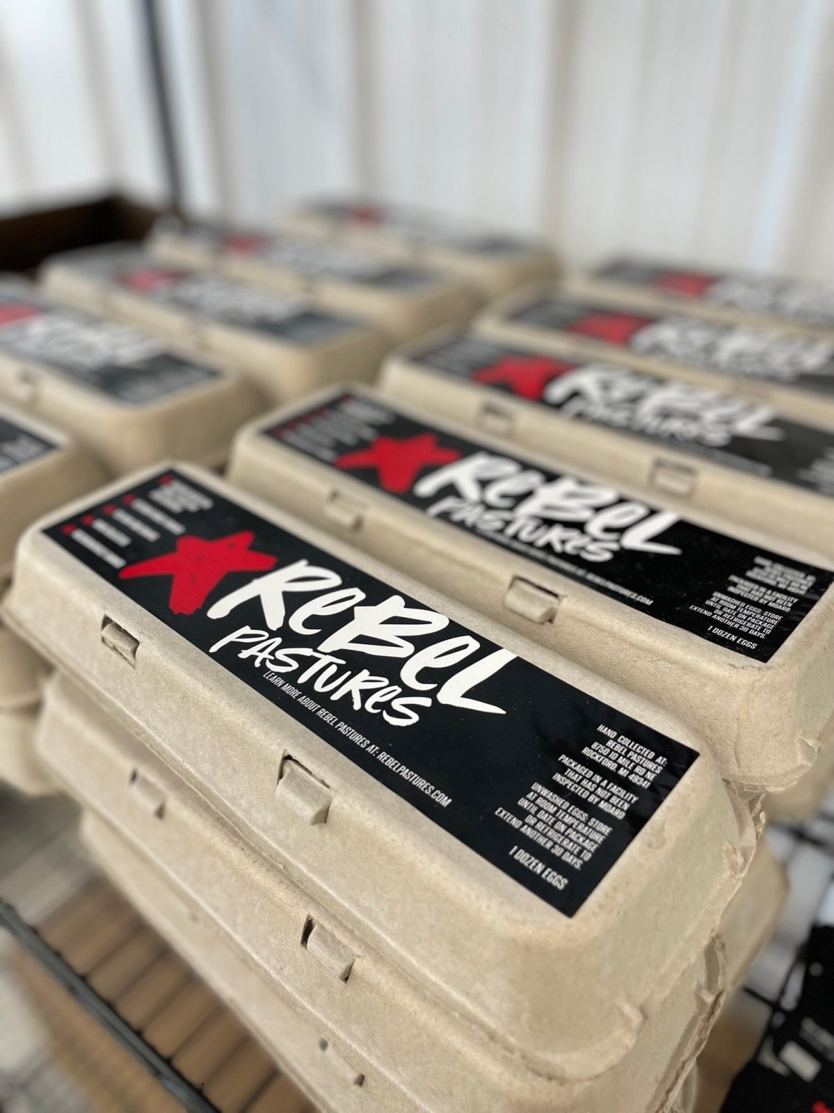 Eggs - 8 doz Fresh Bloom Eggs | Home Delivery Included - Rebel Pastures