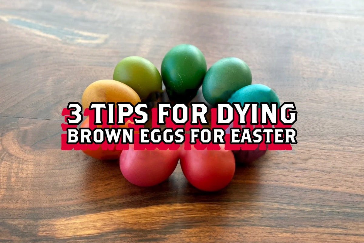 3 Tips for Dying Brown Eggs for Easter - Rebel Pastures