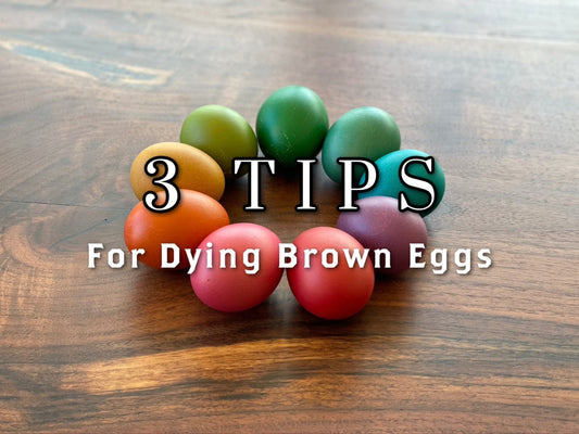 3 Tips for Dying Brown Eggs for Easter - Rebel Pastures