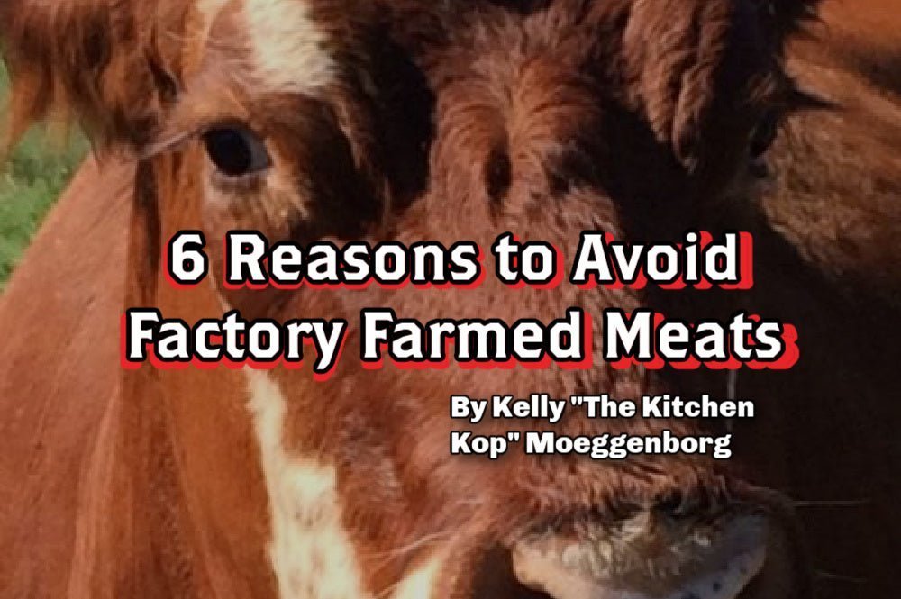 6 Reasons to Avoid Factory Farmed Meats - Rebel Pastures
