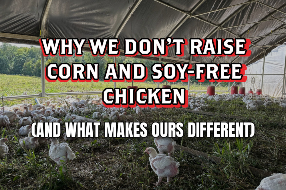 Why We Don’t Raise Corn and Soy-Free Chicken (And What Makes Ours Different)