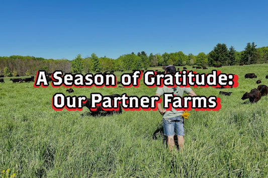 A Season of Gratitude: Our Partner Farms - Rebel Pastures