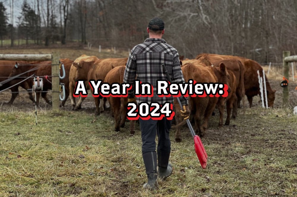 A Year in Review: 2024 - Rebel Pastures