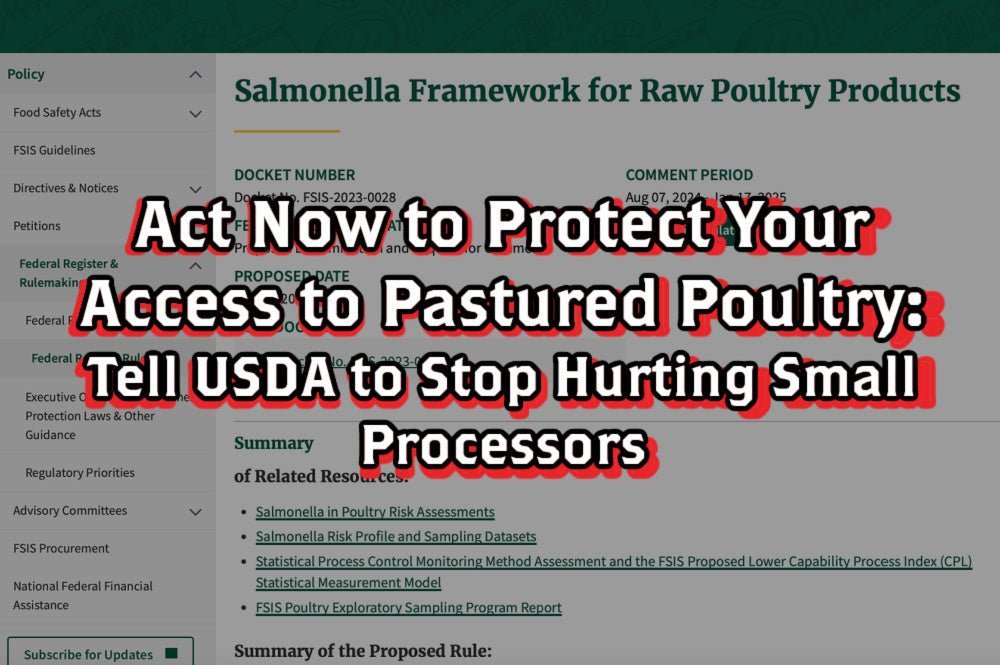 Act Now to Protect Your Access to Pastured Poultry: Tell USDA to Stop Hurting Small Processors - Rebel Pastures