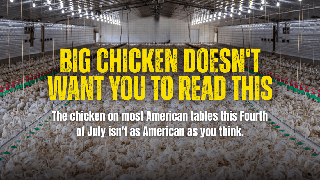 Big Chicken Doesn't Want You to Read This - Rebel Pastures