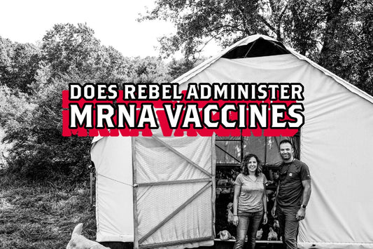 Does Rebel Administer a mRNA Vaccine to their Animals? - Rebel Pastures