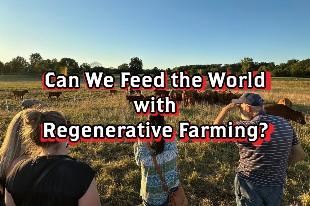 Fed or Nourished? The Truth About Feeding the World With Regenerative Farming - Rebel Pastures