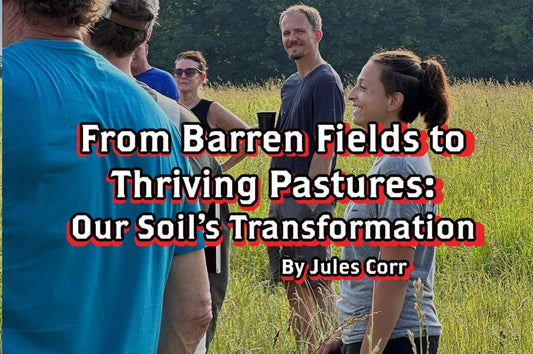 From Barren Fields to Thriving Pastures: Our Soil’s Transformation - Rebel Pastures