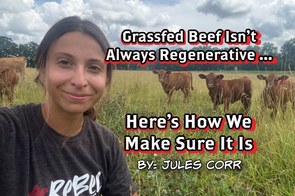 Grassfed Beef Isn’t Always Regenerative - Here’s How We Make Sure It Is - Rebel Pastures