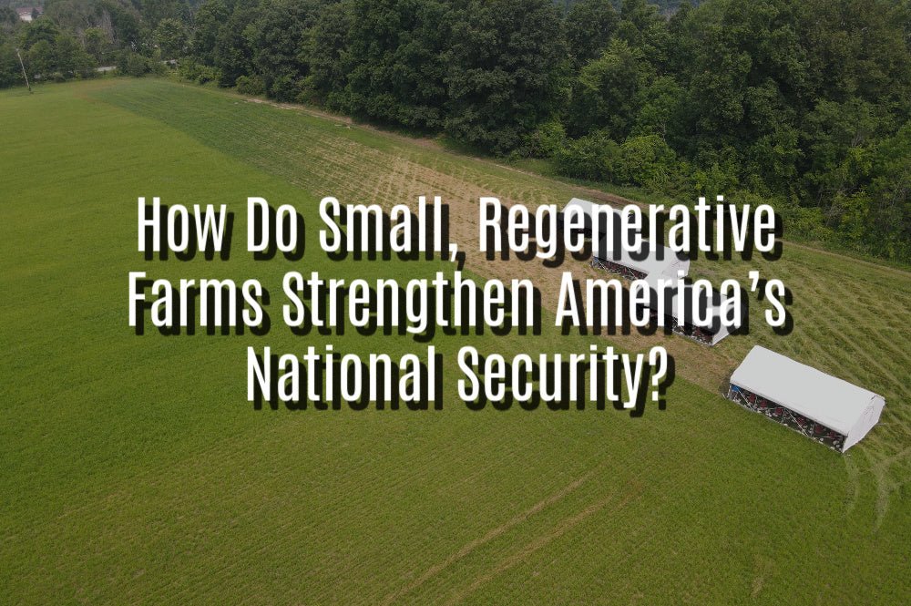 How Do Small, Regenerative Farms Strengthen America’s National Security? - Rebel Pastures