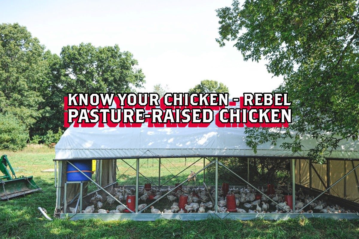 Know Your Chicken - Rebel Pasture-Raised Chicken - Rebel Pastures