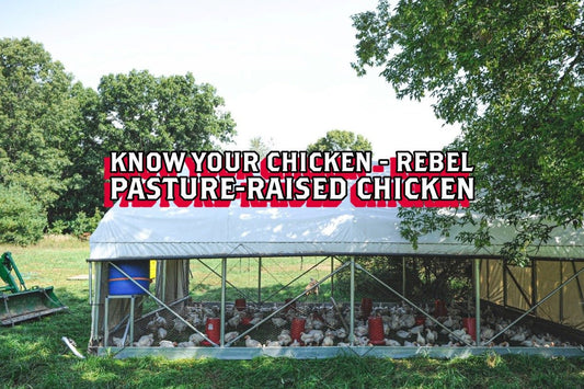 Know Your Chicken - Rebel Pasture-Raised Chicken - Rebel Pastures