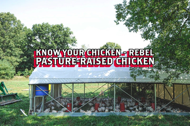 Know Your Chicken - Rebel Pasture-Raised Chicken - Rebel Pastures