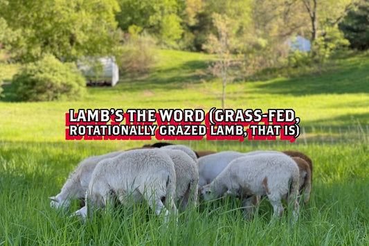 Lamb's the Word 🐑 (Grass-fed, Rotationally Grazed Lamb, that is) - Rebel Pastures