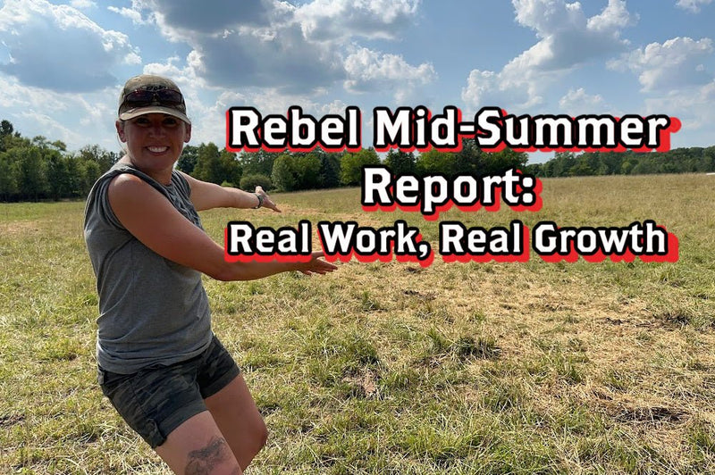 Rebel Mid-Summer Report: Real Work, Real Growth - Rebel Pastures