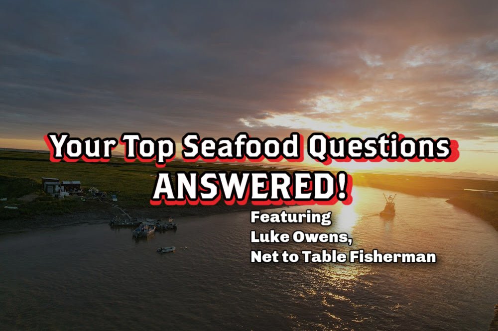 Reel Talk: Your Top Questions about Seafood ANSWERED - Rebel Pastures