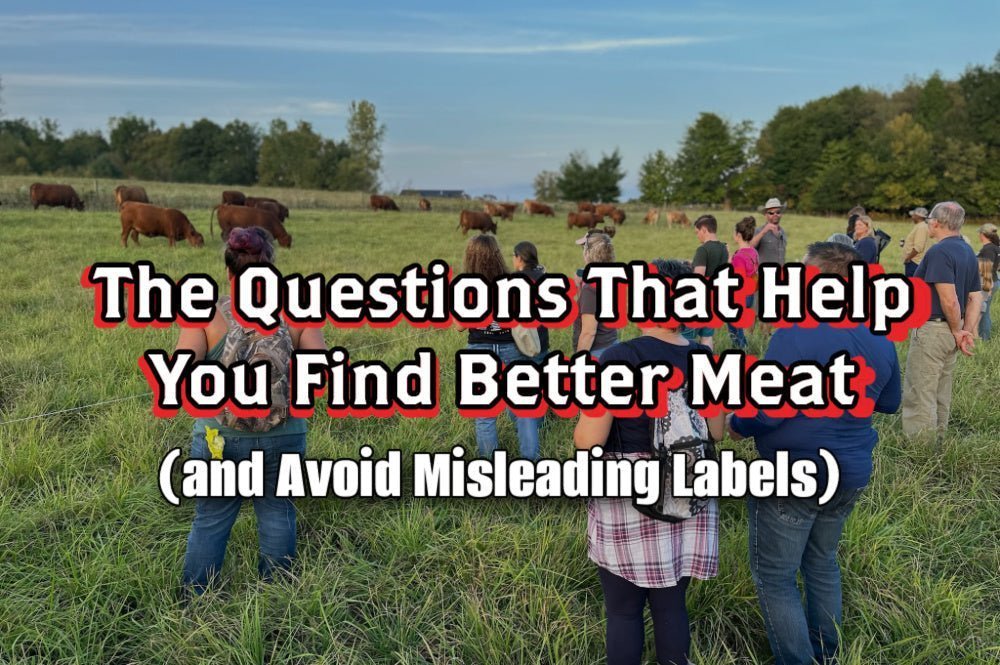 The Questions That Help You Find Better Meat (and Avoid Misleading Labels) - Rebel Pastures