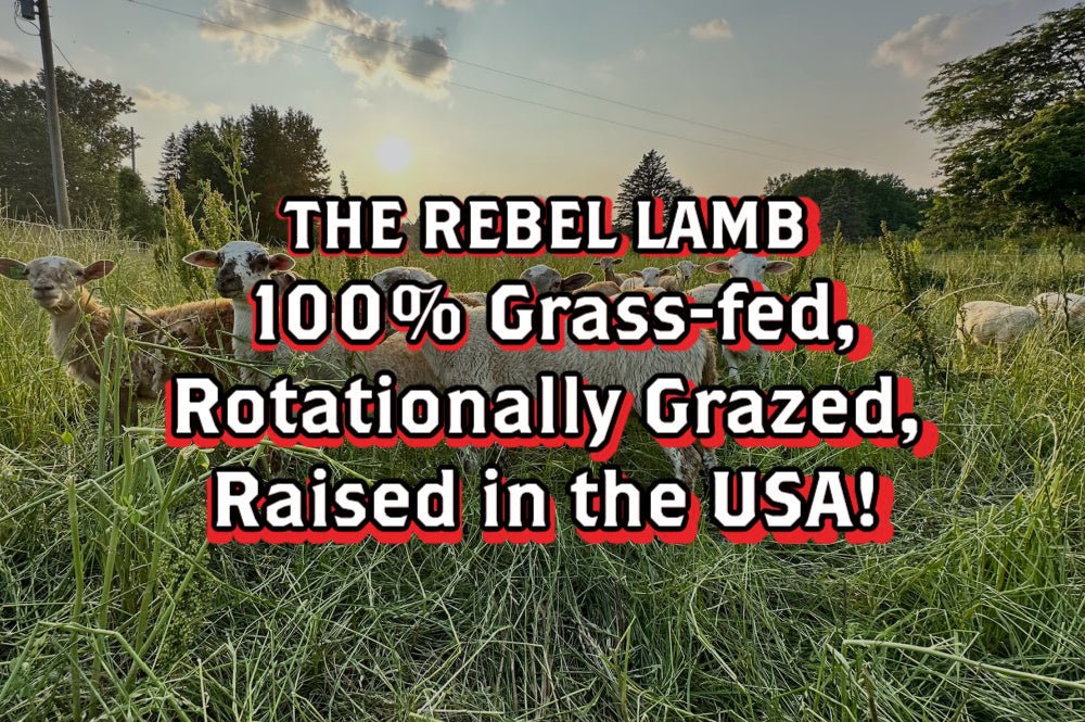 The Rebel Lamb 🐑 100% Grass-fed, Rotationally Grazed, Raised in the USA - Rebel Pastures