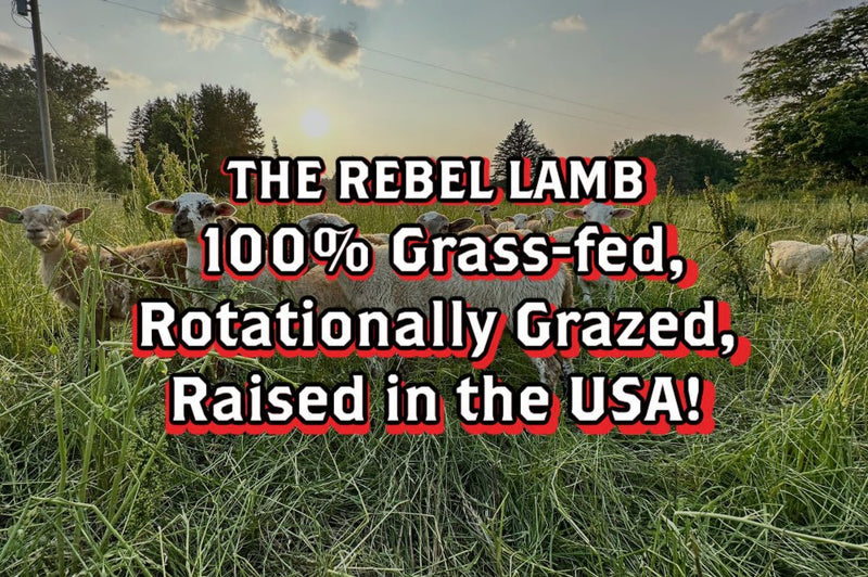 The Rebel Lamb 🐑 100% Grass-fed, Rotationally Grazed, Raised in the USA - Rebel Pastures