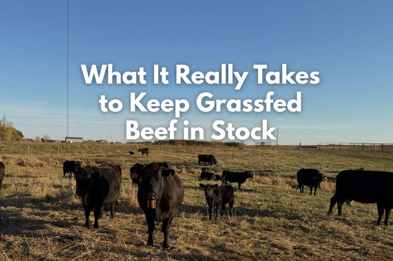 What It Really Takes to Keep Grassfed Beef in Stock - Rebel Pastures