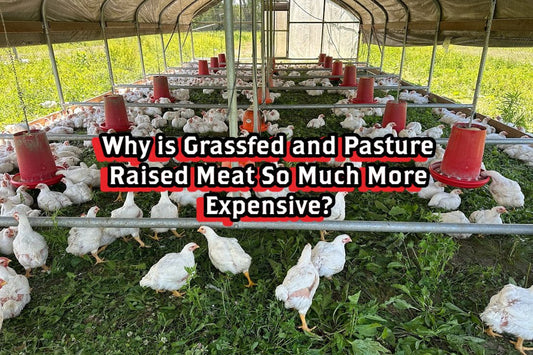 Why is Grassfed and Pasture Raised Meat So Much More Expensive? - Rebel Pastures