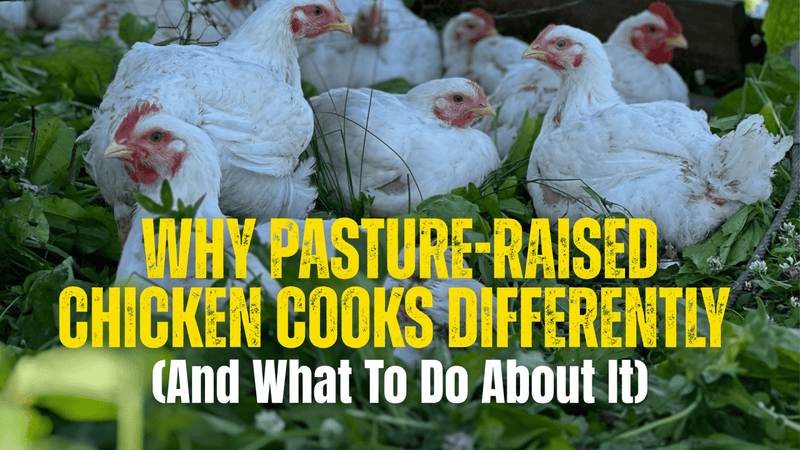 Why Pasture-Raised Chicken Cooks Differently (And What To Do About It) - Rebel Pastures