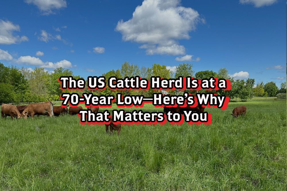 Why the Beef Supply Is Shrinking (And Why You Should Care) - Rebel Pastures