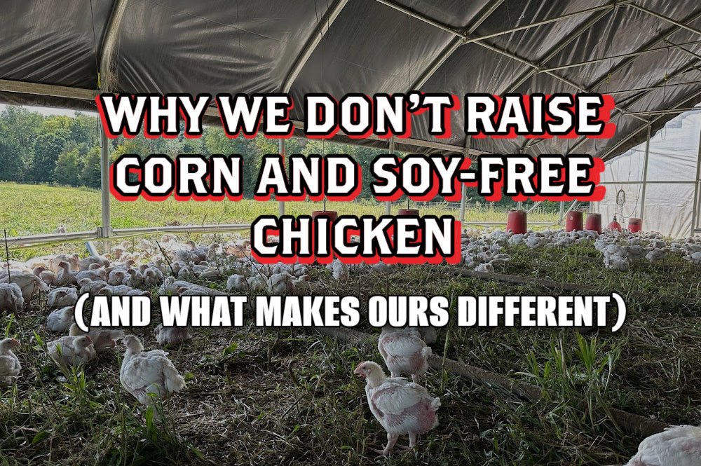 Why We Don’t Raise Corn and Soy-Free Chicken (And What Makes Ours Different) - Rebel Pastures