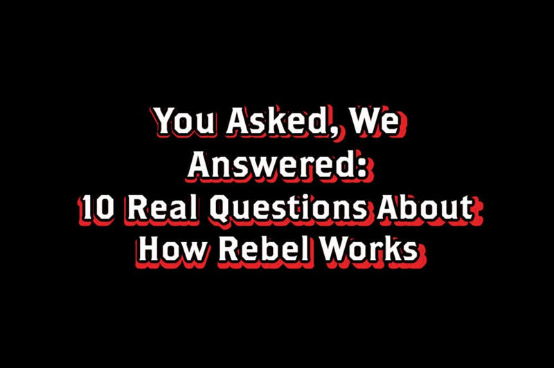 You Asked, We Answered: 10 Real Questions About How Rebel Works - Rebel Pastures