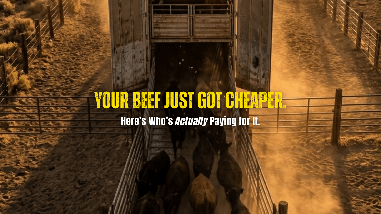 Your Beef Just Got Cheaper. Here's Who's Actually Paying For It. - Rebel Pastures