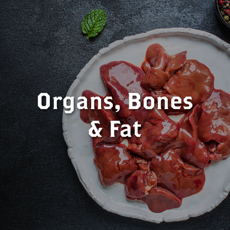 Organs, Bones & Fat