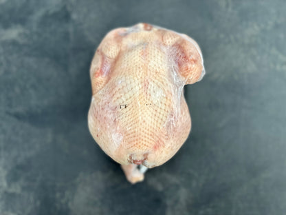 Pasture Raised Whole Chicken - Rebel Pastures