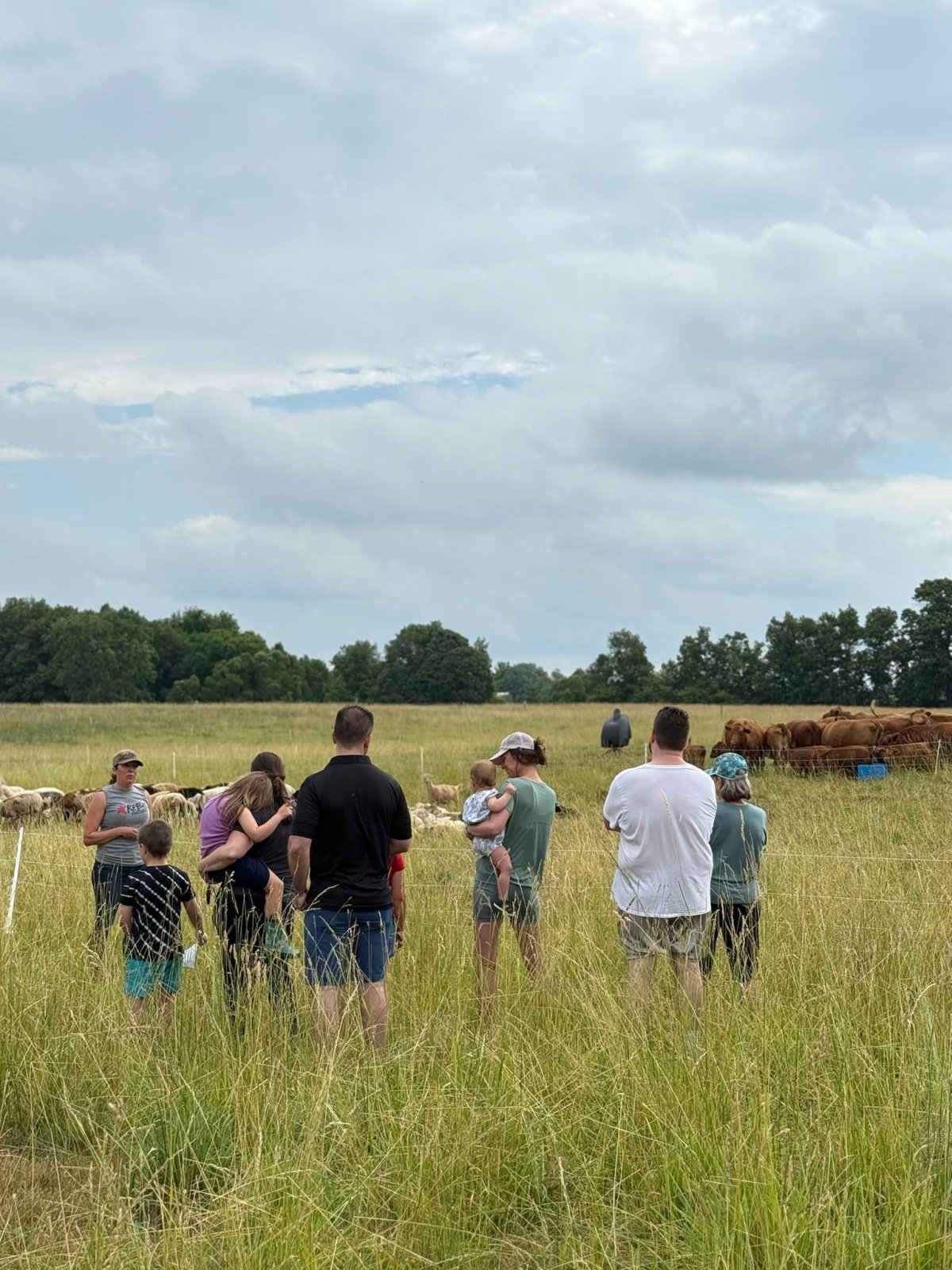 Family Day at the Farm - Rebel Pastures