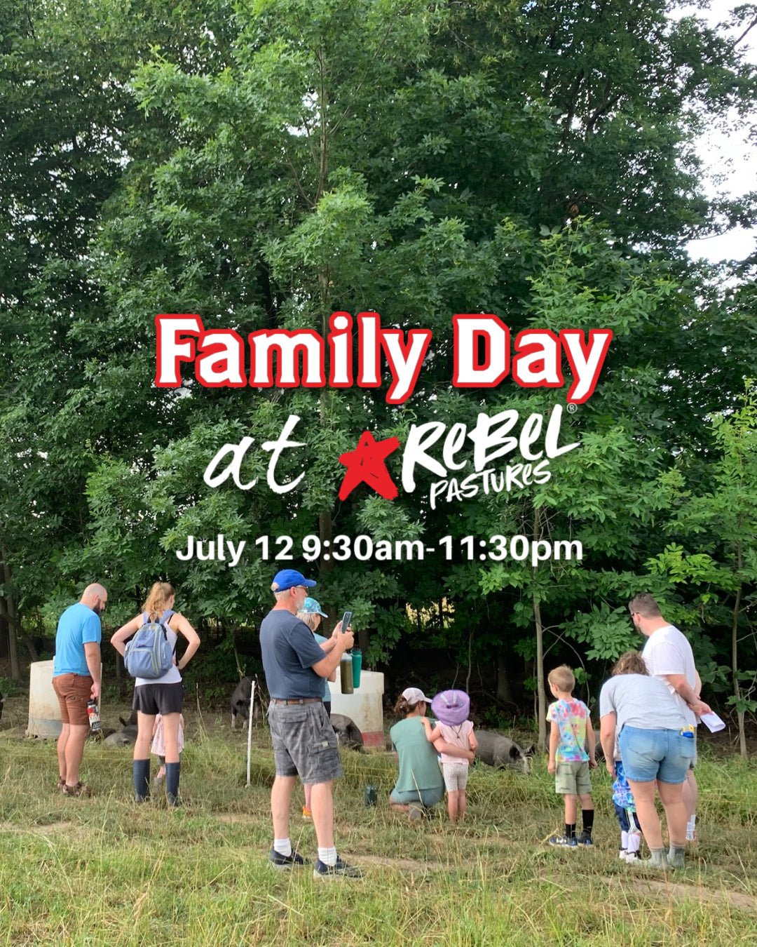Family Day at the Farm - Rebel Pastures