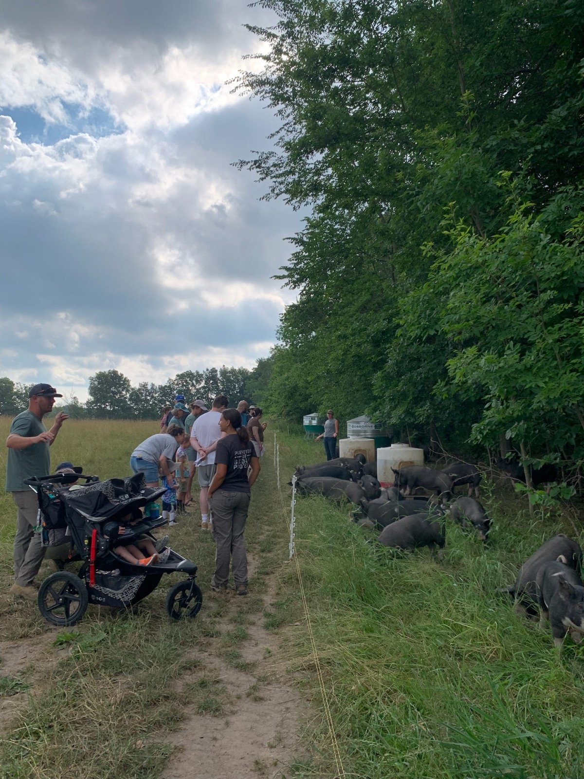 Family Day at the Farm - Rebel Pastures