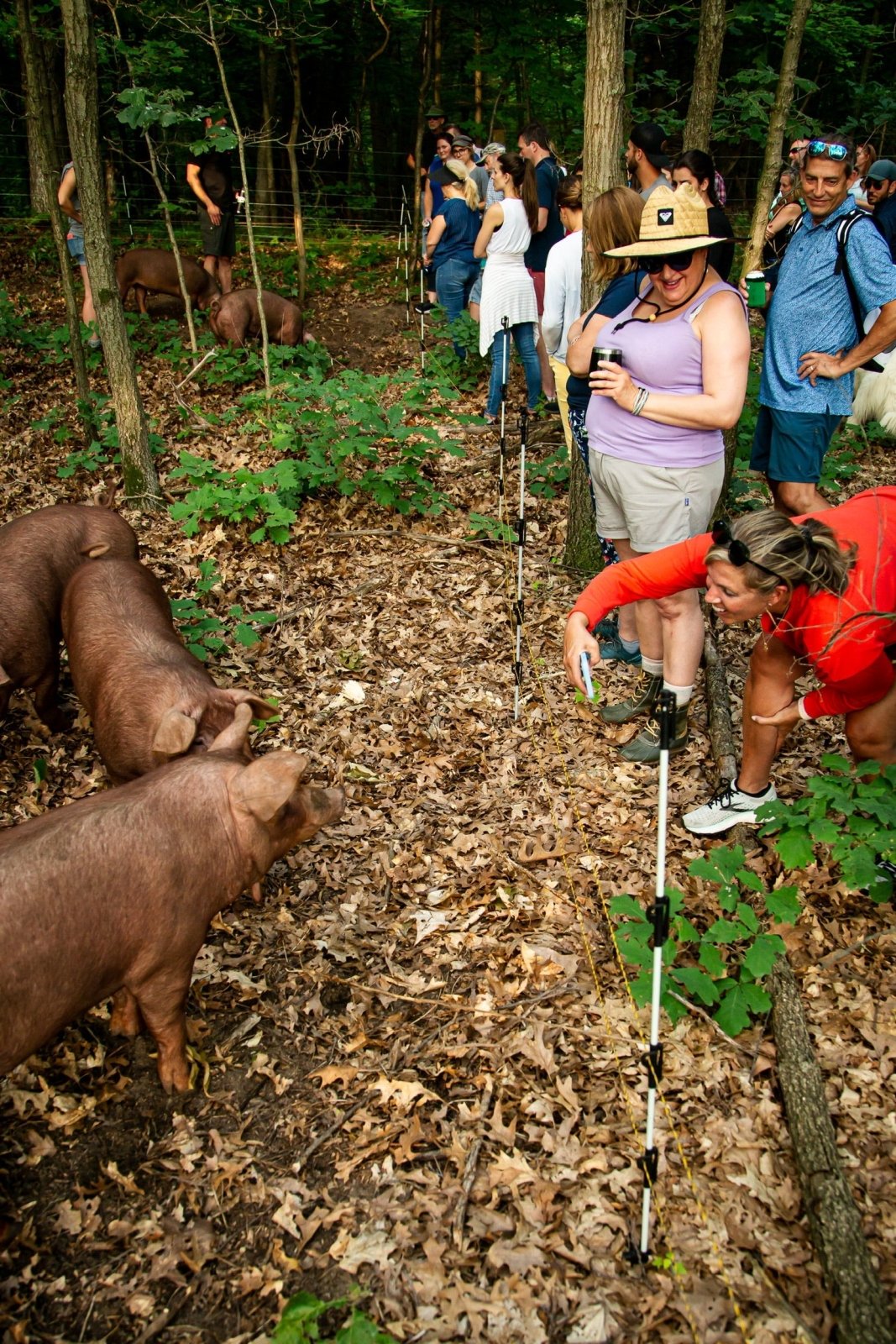 Wine Down Pasture Walk - Rebel Pastures