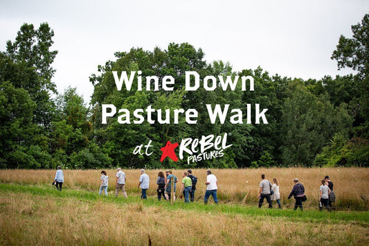 Wine Down Pasture Walk - Rebel Pastures