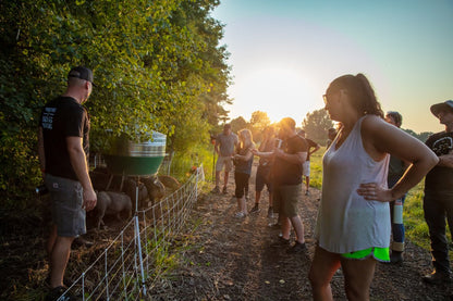 Wine Down Pasture Walk - Rebel Pastures