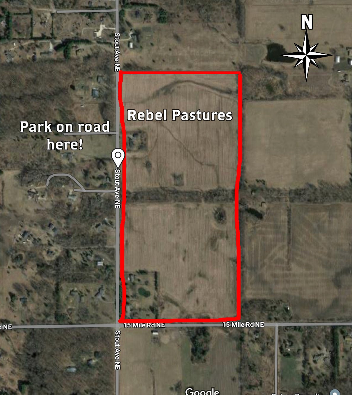 Wine Down Pasture Walk - Rebel Pastures