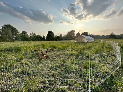 Wine Down Pasture Walk - Rebel Pastures