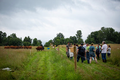 Wine Down Pasture Walk - Rebel Pastures