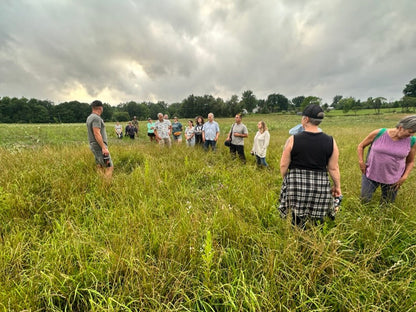 Wine Down Pasture Walk - Rebel Pastures