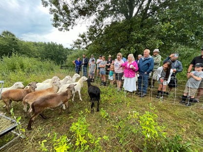 Wine Down Pasture Walk - Rebel Pastures