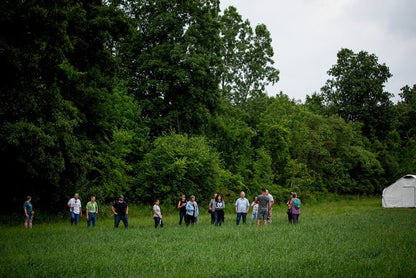 Wine Down Pasture Walk - Rebel Pastures