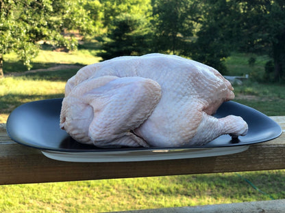 Pasture Raised Whole Chicken - Rebel Pastures