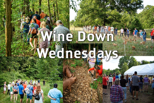 Event - Wine Down Wednesdays (18+ Only) - Rebel Pastures